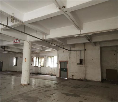 日照市廠房驗(yàn)廠安全檢測鑒定收費(fèi)標(biāo)準(zhǔn)解析及建筑材料安全新規(guī)引關(guān)注